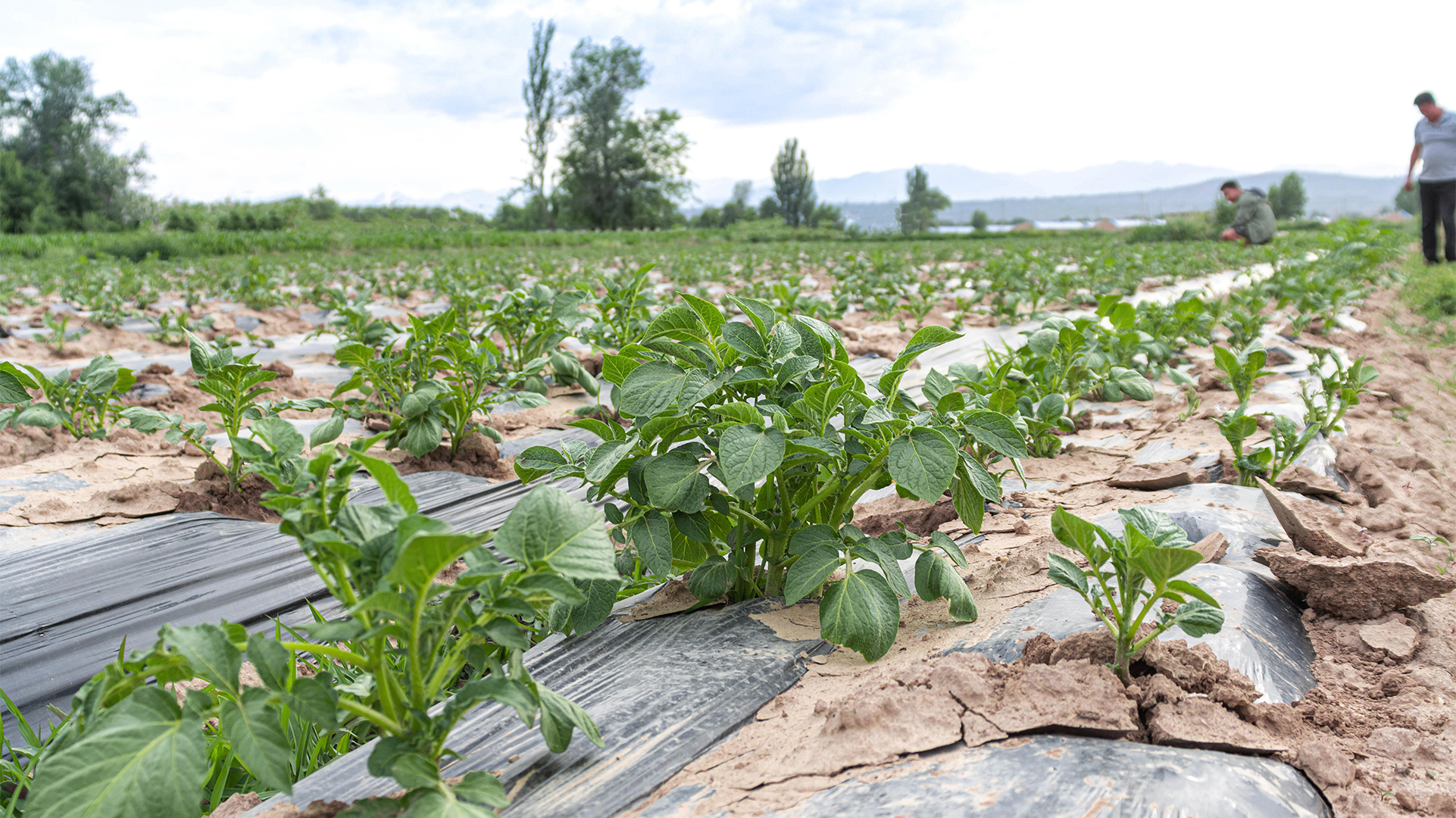 基地(dì)實拍(pāi)